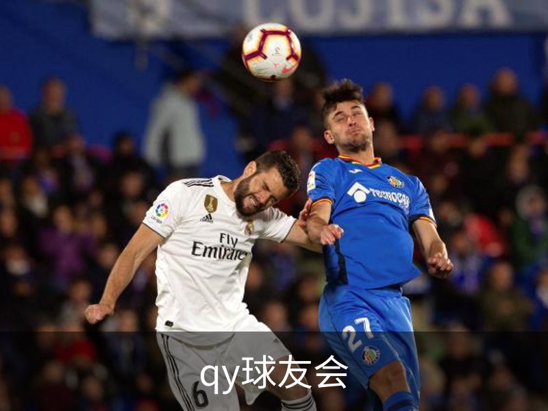 qy球友会概况
